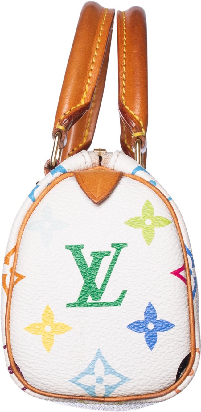 Louis Vuitton Multicolor Mini Speedy Bag
