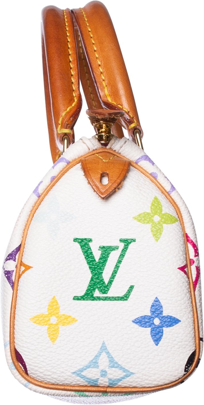 Louis Vuitton Multicolor Mini Speedy Bag