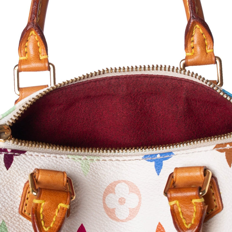 Louis Vuitton Multicolor Mini Speedy Bag