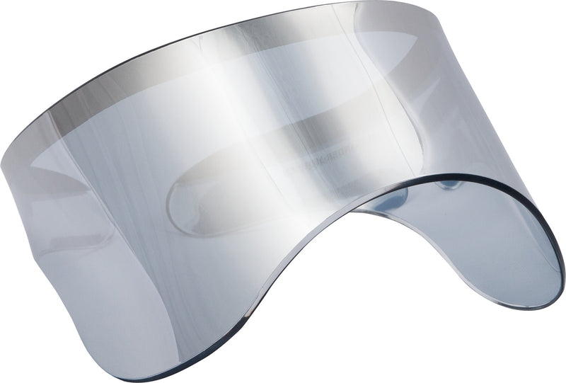 Alexander McQueen Fall 2012 Runway Silver Mirror Visor