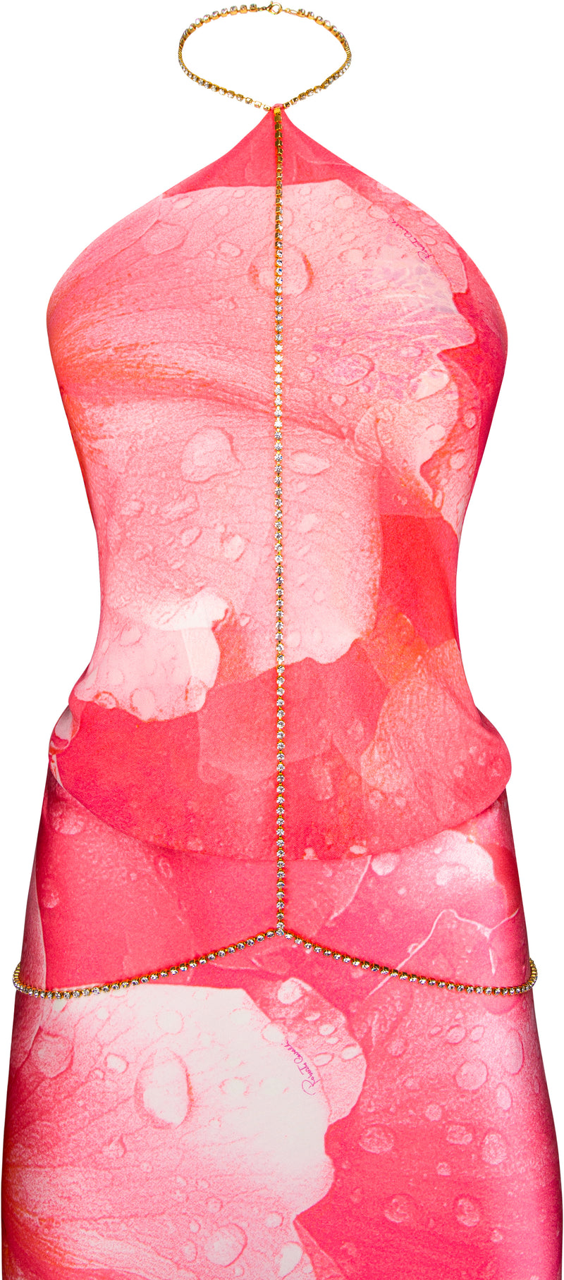 Roberto Cavalli Spring 2000 Runway Printed Crystal Harness Gown